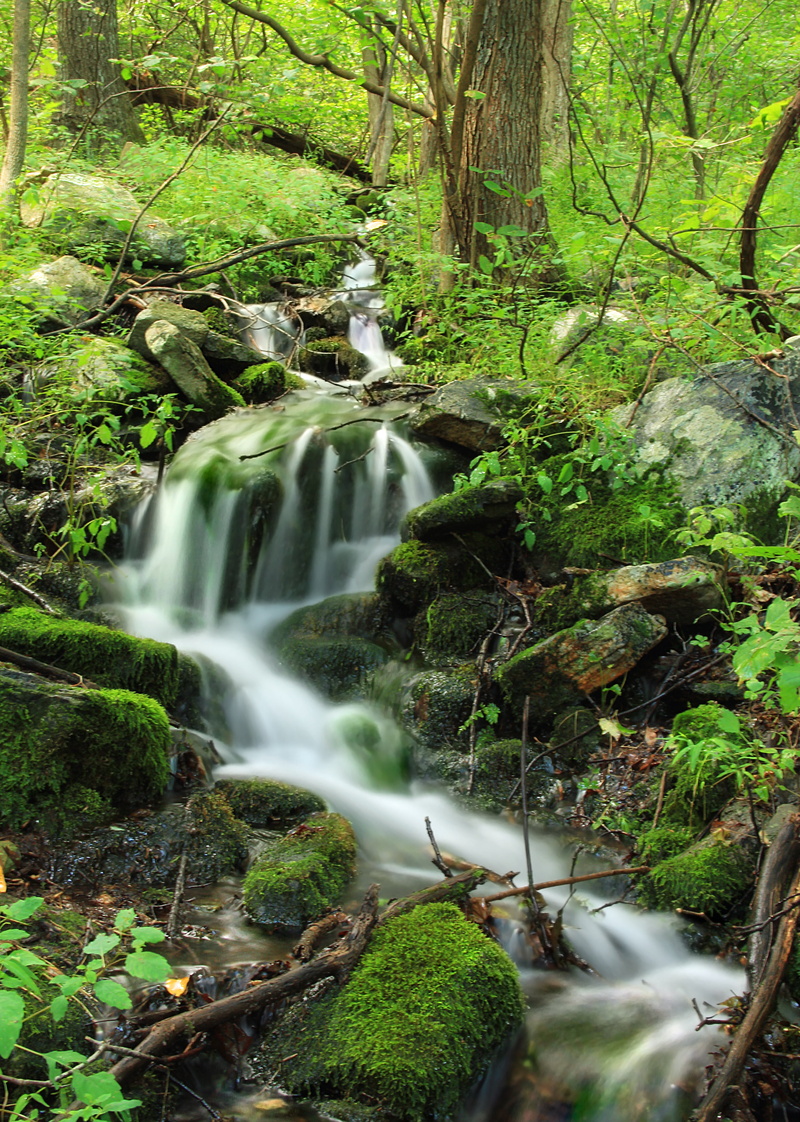 photography, scenics, freshness, landscape, creative commons, SGL, waterfall, vegetation, moss  forest, creek, Appalachian Trail, forest, Blue Mountain