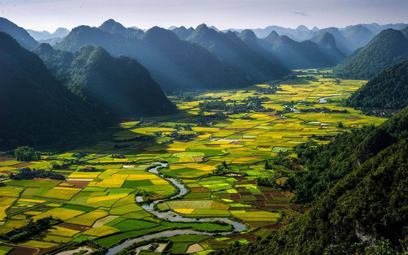 hd, desktop, landscape, 2K, pauline, vietnam, rice