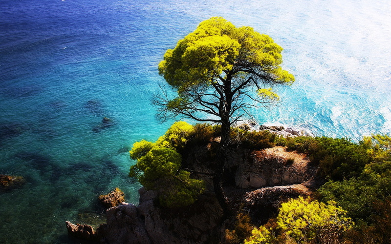 cliff, stands, Sea, 720P, Tree, side, Blue