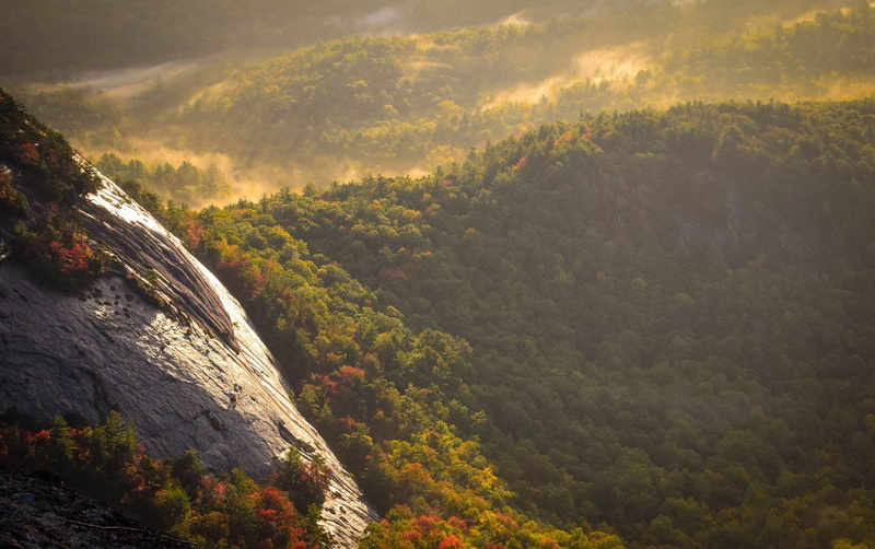 valley, forest, outdoors, environment, autumn, sky, above, nature, tranquility, side, landscape, mist, sunrise, mountain, 1080P, scenics - nature, plant