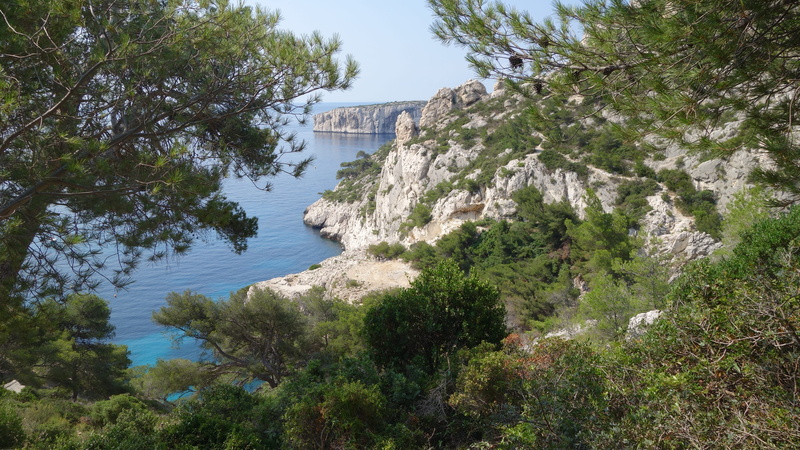 beauty in nature, rocky, growth, creeks, tranquil scene, non-urban scene, tranquility, high angle view, greece, méditerrannée, green color, built structure