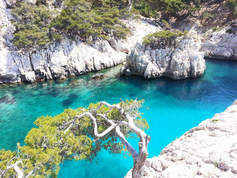 scenics, mediterranean, creeks, rock, water, turquoise colored, mediterranean Sea, day, tranquil scene, surrounded, tourism, land, trees, creek, vacations