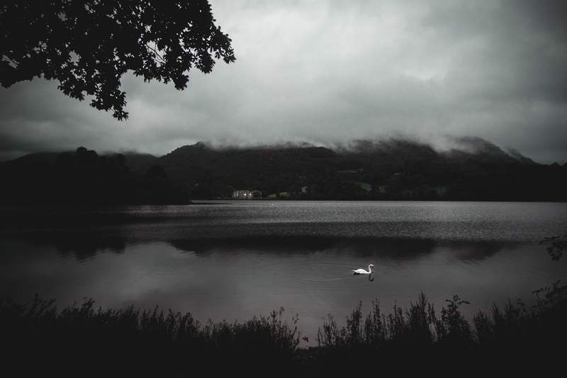 5K, cloud - sky, trees, water, forest, non-urban scene, tree, wide, outdoors, walking, grasmere, hills, lake district, cliff, wide angle, fog, hiking