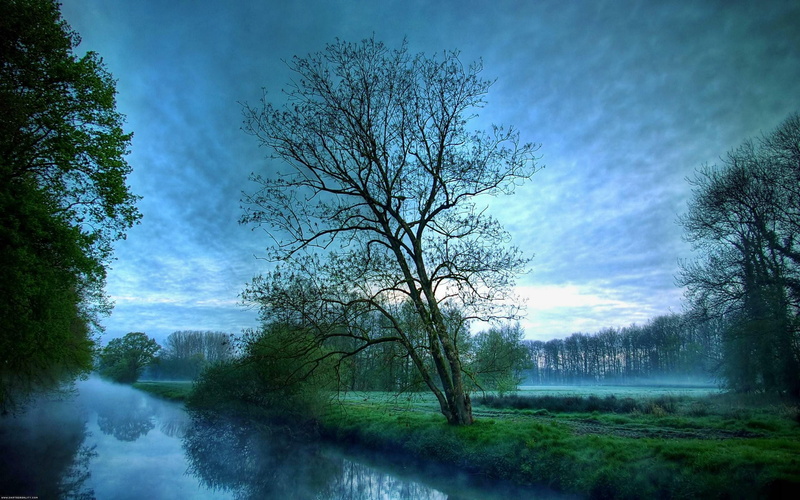 side, 2K, 3d and abstract, outdoors, river, nature, tree