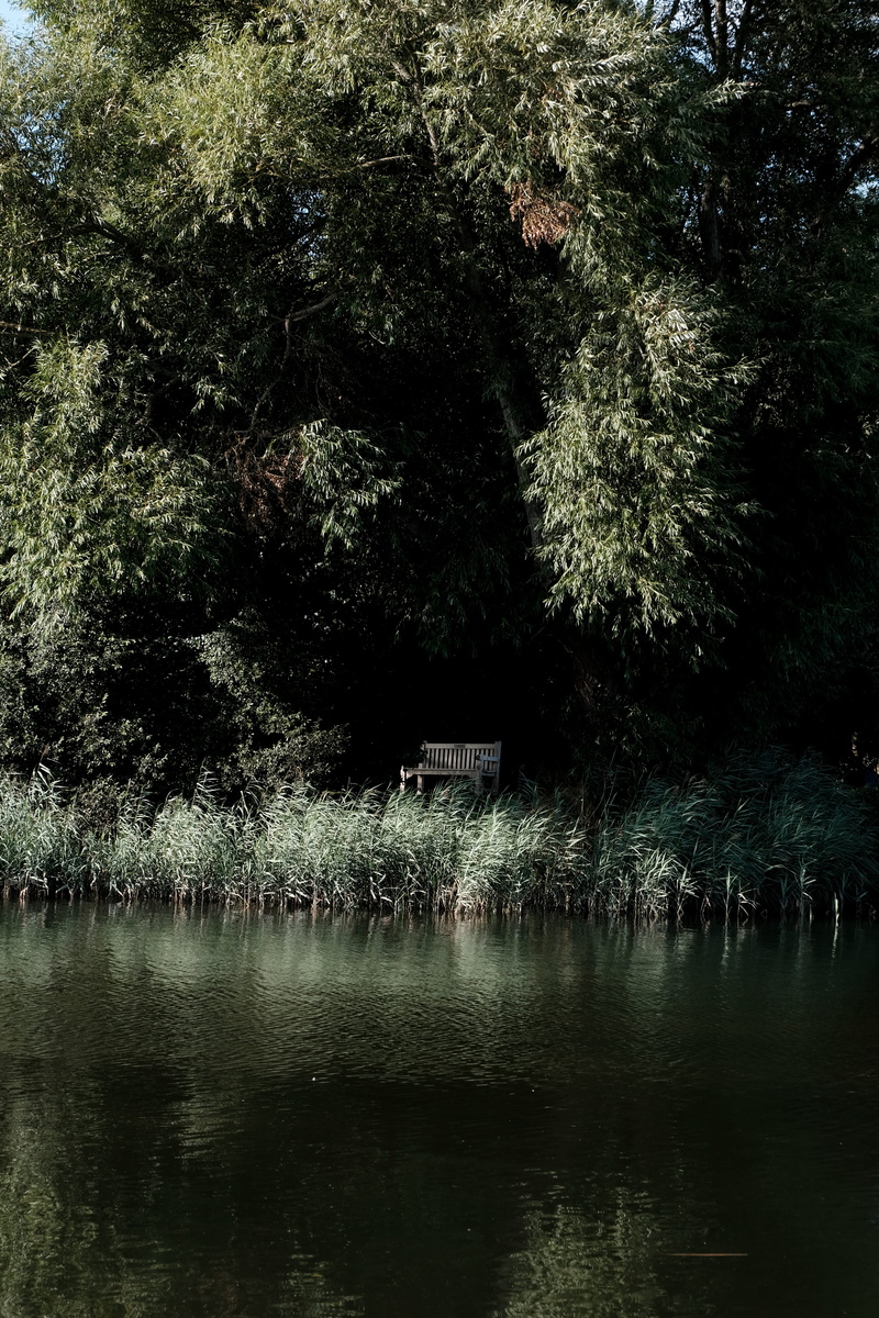 explore, growth, tree, beauty in nature, seat on the side of a river, bench under a tree, waterfront, greenery, river side, reflection, near, tranquility