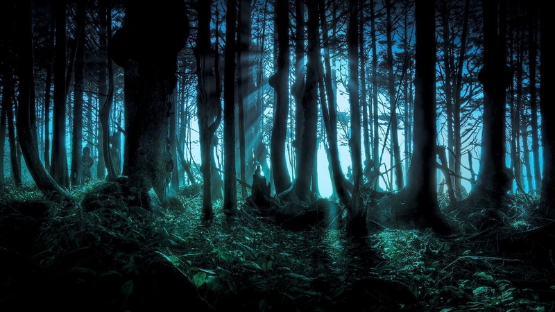 night, tree trunk, scenics - nature, trunk, outdoors, growth, deep, mistic, tranquility, peep, peeping, land, landscape, beauty in nature, art, misty, plant