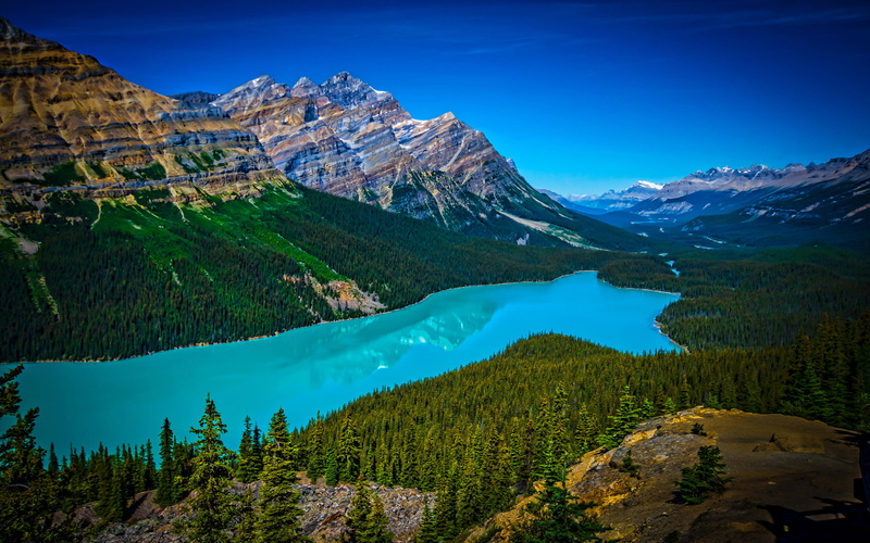 canada, hd, environment, day, national, blue, length, desktop, turquoise, tree, park, no people, banff, landscape, non-urban scene, m, tranquility