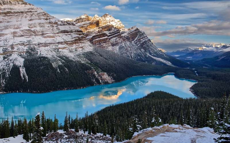 mountains, landscape, 1080P, forest, Canada, turquoise, Peyto Lake, trees, nature, lake, snowy mountain
