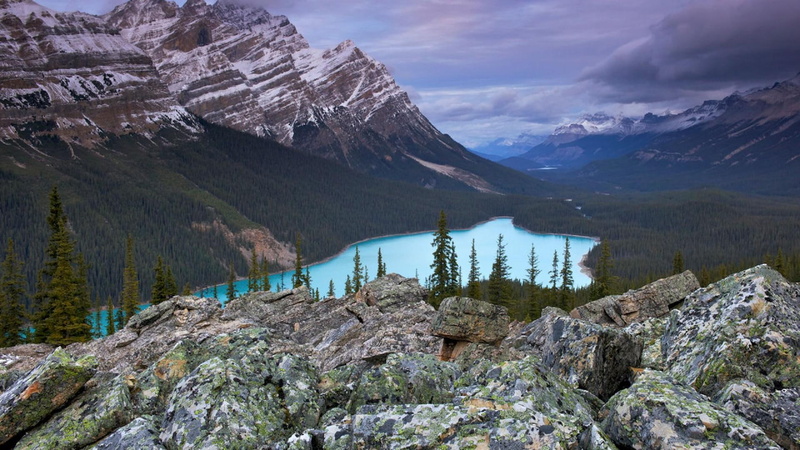 forest, clouds, lake, 1080P, alberta, nature and landscapes, mountains, bow, summit, peyto