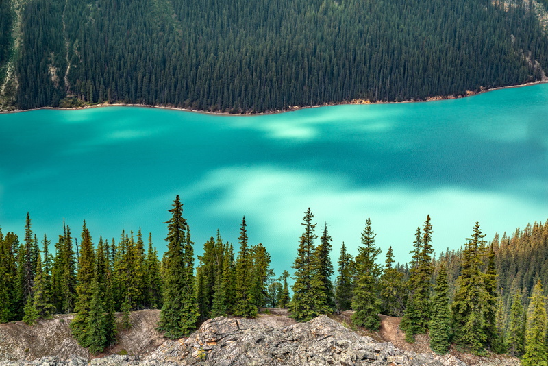 road, non-urban scene, jasper national park, green color, tranquil scene, idyllic, pine tree, abies, nature, lake, pine woodland, turquoise colored, tranquility