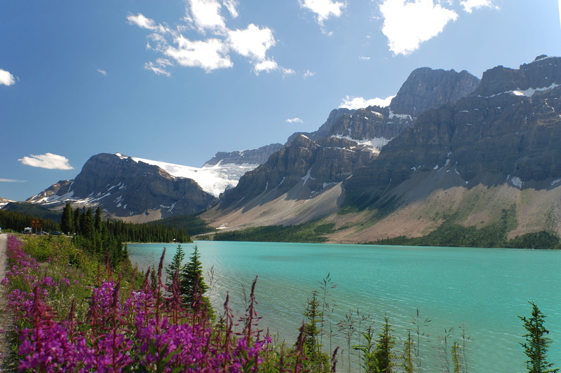 landscape, Canada, snowcapped mountain, day, sky, mountain range, body, scenics, lake, flowers, scenics - nature, plant, petaled, no people, flowering plant