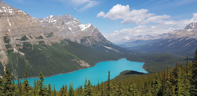 4K, crest, scenics - nature, turquoise colored, ice, nature, mountain peak, peyto lake, water, sky, blue, tranquility, pine woodland, tree, canada lake
