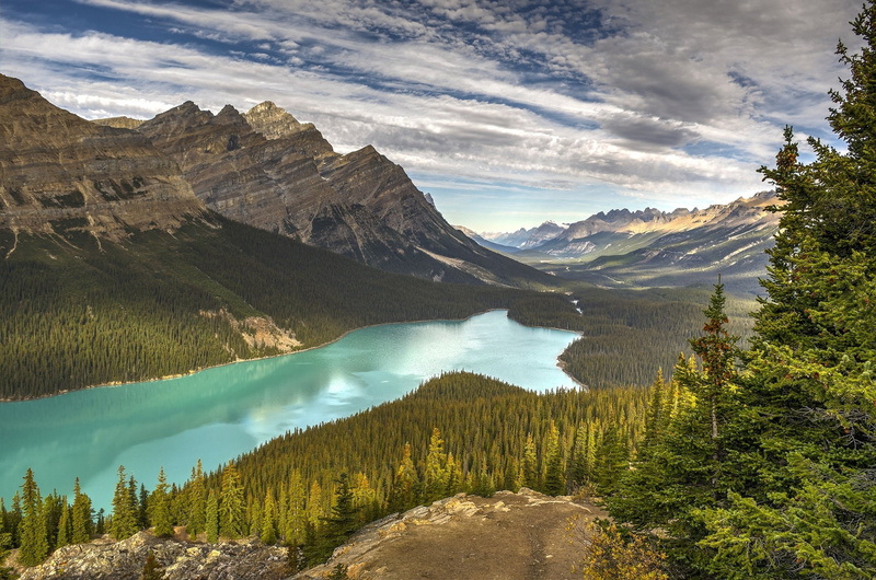 national, trees, banff, canada, mountains, 1080P, peyto, forest, park, spruce, landscape, drink, alberta, lake