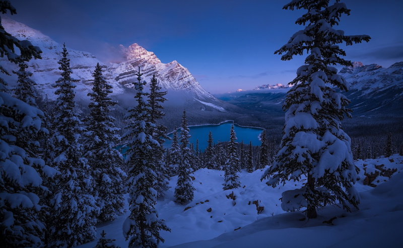 Frozen, water, aerial, 4K, Banff National Park, Canadian Rockies, body, Peyto Lake, picture, Winter