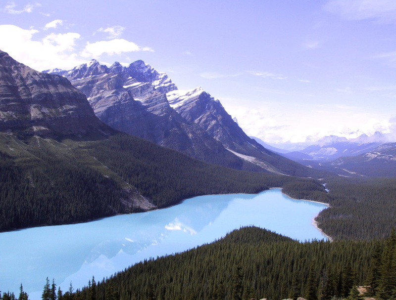 Canada, beauty In Nature, lake, tree, national, scenery, snowcapped mountain, Landscape, sky, plant, landscapes, public domain, outdoors, peyto, mountain Range