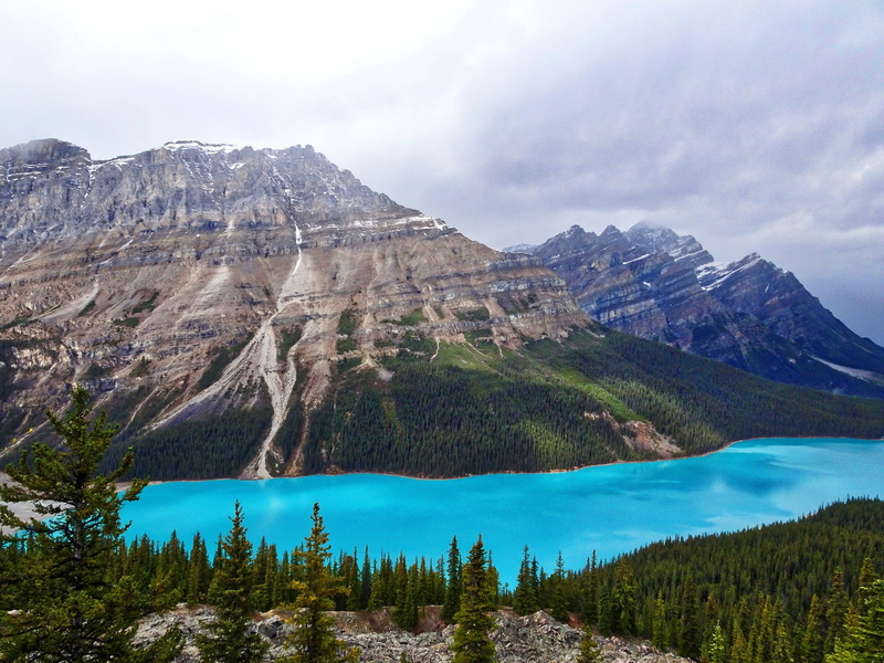 no people, turquoise colored, emerald, day, water, mountain, mountains, blue, coniferous tree, environment, tranquil scene, rockies, peyto, 4K, cloud - sky