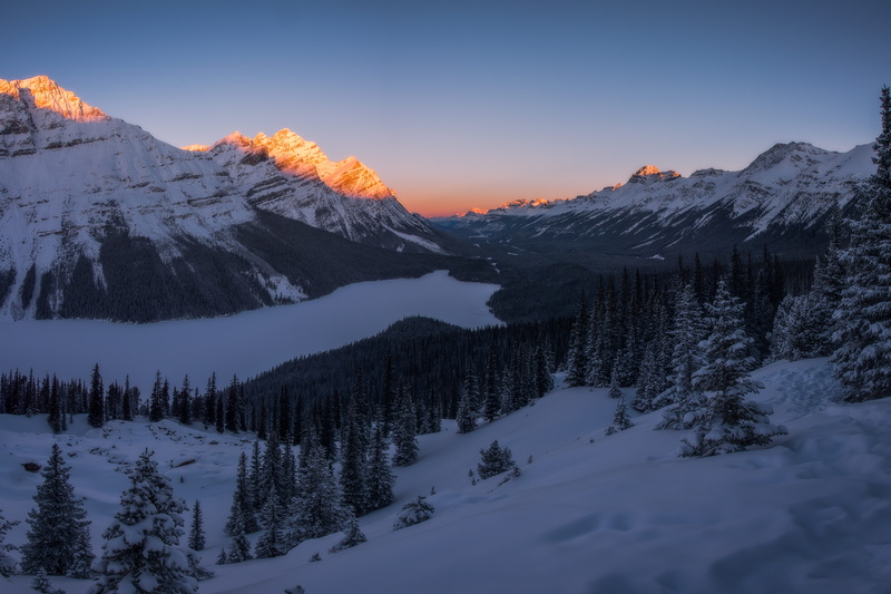 mountain, frozen, snowy, shot, mountain peak, canada, daytime, winter, jasper, capped, coniferous tree, cold temperature, snowcapped mountain, frozen lake