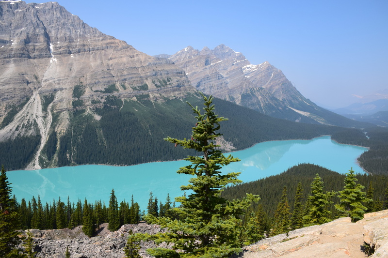 tranquility, canada, river, outdoors, tree, conifer, plant, abies, mountain, green, snowcapped mountain, day, landscape, idyllic, geology, no people, glacier