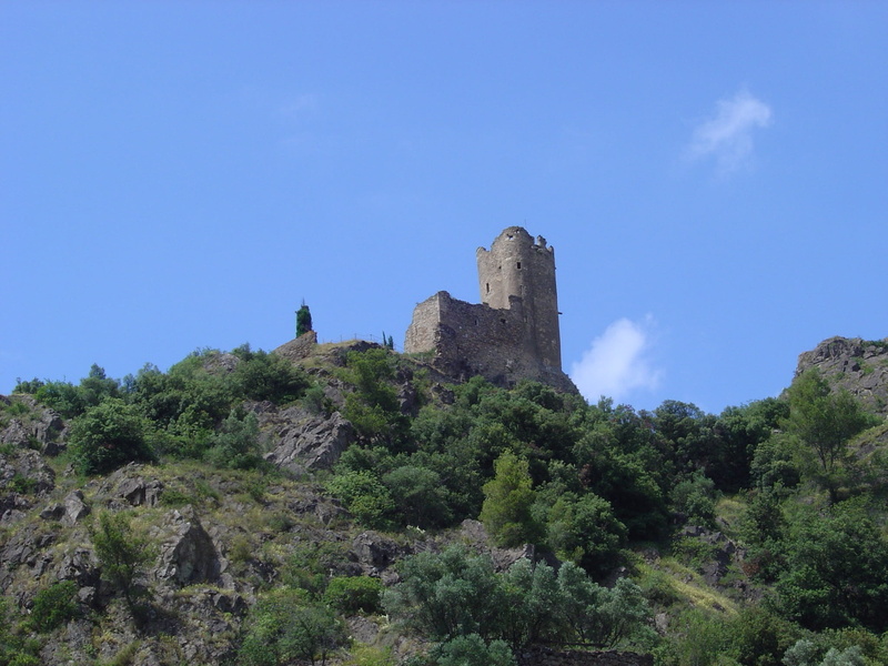 tree, building exterior, sky, growth, the past, fortification, day, landscape, tower, ruin, no people, clear sky, fort, Country, low angle view, blue, outdoors