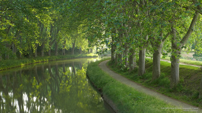 languedoc, france, Spring/Summer, 2K, midi, du, canal, path, tow