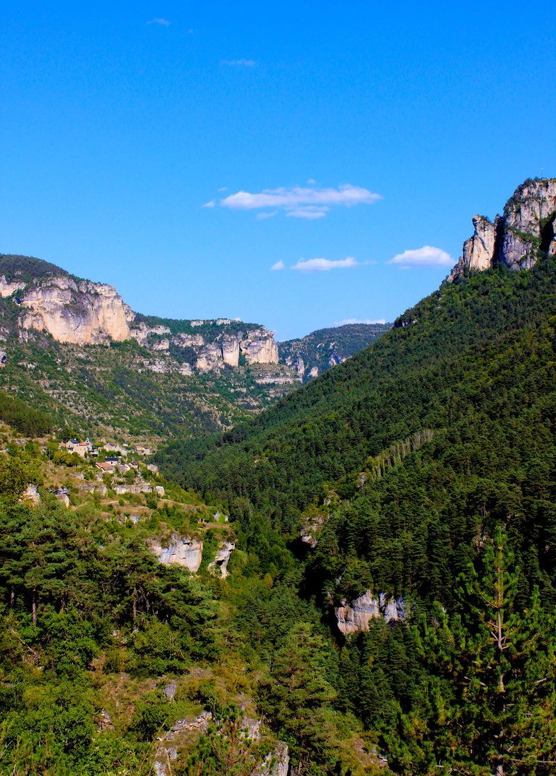pine tree, old, nature, landscape, woods, mountain range, largest, formation, land, sky, city, plant, color, historic, europe, environment, summer, rocky