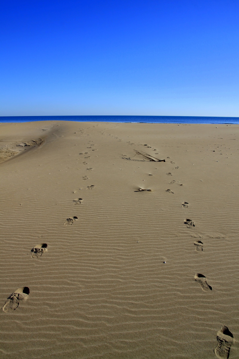 sky, tranquility, climate, blue, beach, two, scenics - nature, beauty in nature, romantic, water, sand, outdoors, blue sky, animal wildlife, land, environment