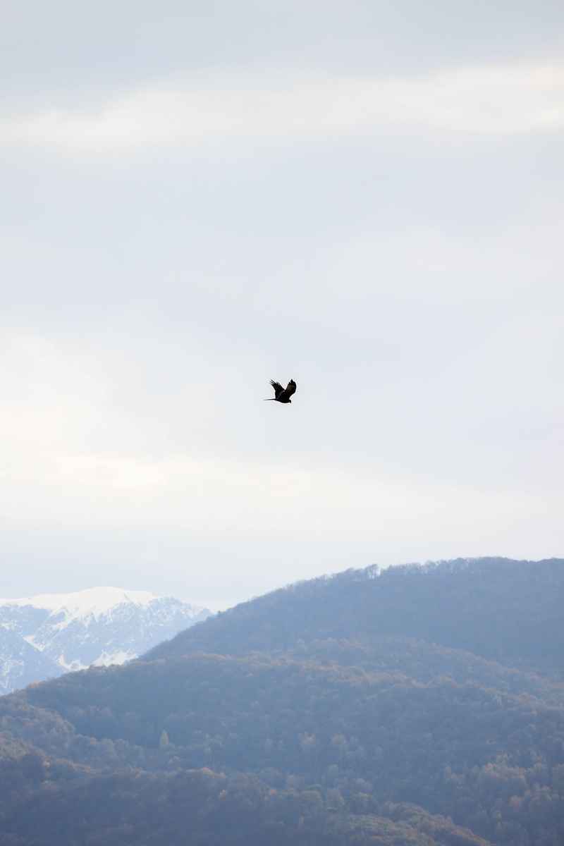 winter, tranquil scene, pyrenees, france, environment, milan, grey, panorama, day, 4K, beauty in nature, peak, cloud - sky, view, outdoors, vertebrate