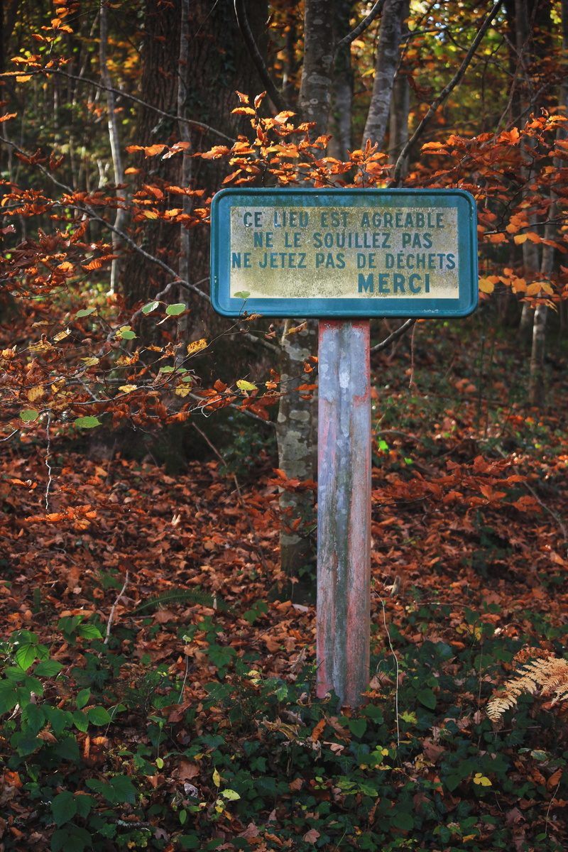 plaque, leaf, information sign, no people, change, thanks, guidance, direction, occitanie, outdoors, fall, 5K, tree trunk, arrow symbol, tree, soil, western script