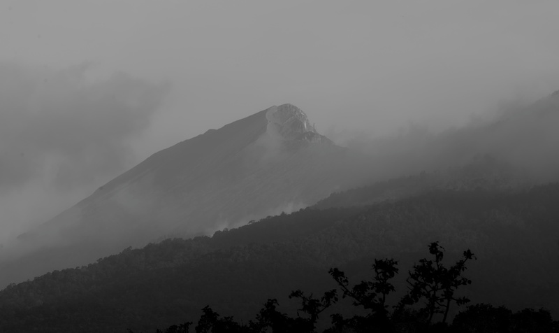 tranquil scene, tranquility, landform, monochrome, darkness, fog, plant, environment, cloud, atmospheric phenomenon, low angle view, mountain range, silhouette