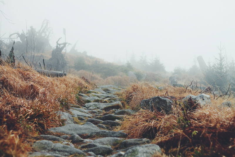 rock - object, fog, no people, outdoors, river, mist, day, tranquil scene, beauty in nature, stone, season, natural environment, nature, forest, solid