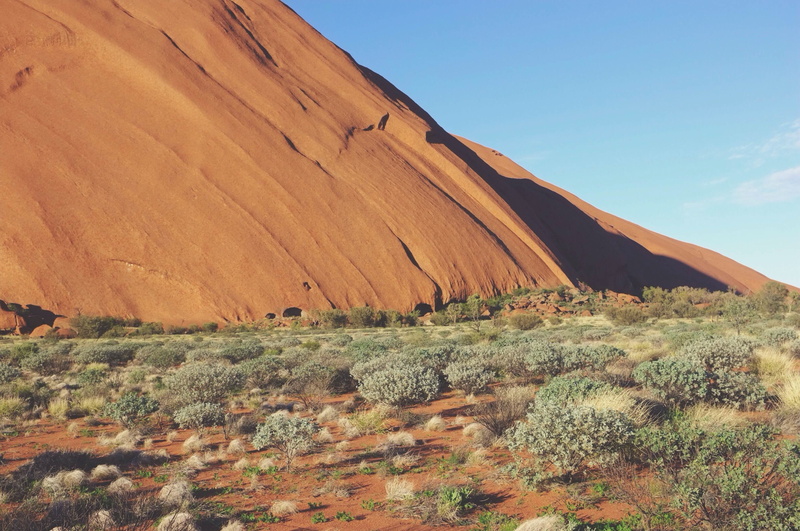 sandstone, geographical feature, mountain, plant, solid, fell, climate, soil, plateau, ridge, natural environment, land, valley, environment, tranquil scene