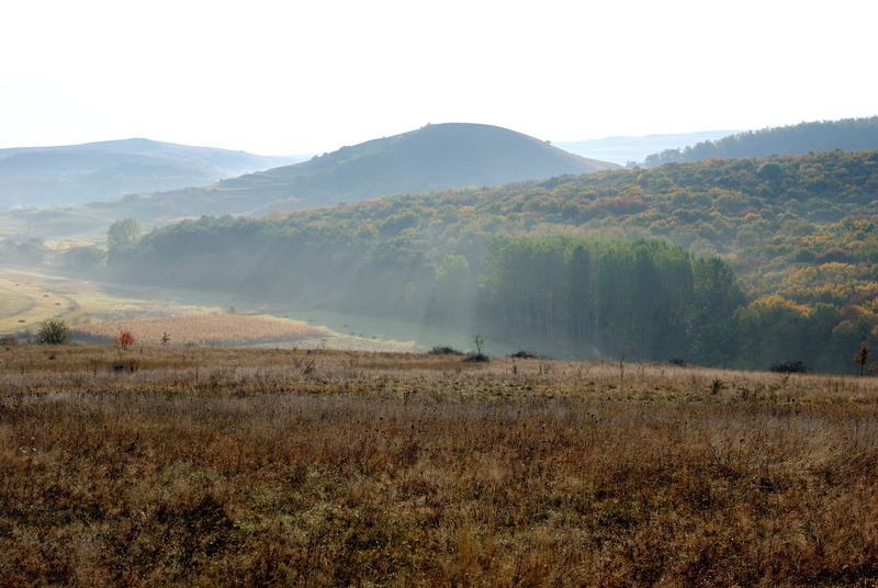 rural area, mountain, natural environment, plain, 4K, loch, plant, beauty in nature, ecosystem, scenics - nature, mountainous landforms, prairie, outdoors
