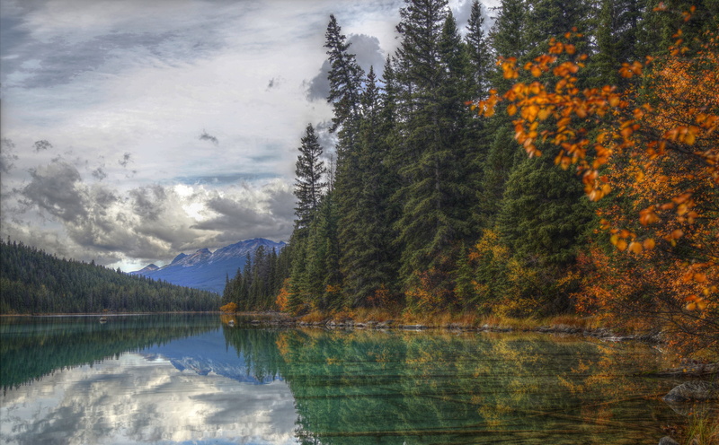 tranquil scene, growth, conservation, tranquility, Alberta, Nature, Forest, Travel, mountain, no people, Trip, Lake, IUCN, Canada, Mountains, Tour, idyllic