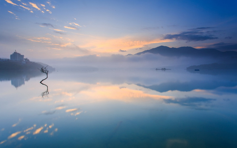 bush, 720P, clouds, surface of the water, merge