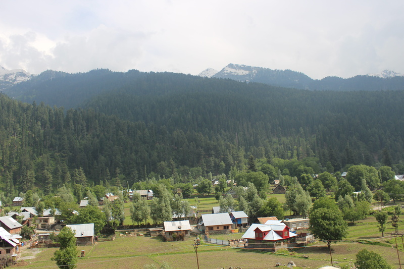 travel, building, india, sky, building exterior, scenics - nature, tourism, house, green color, plant, no people, day, high, nature, tibetan, residential district