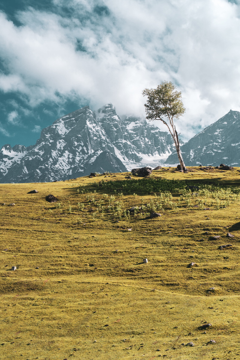 tranquil scene, scenics - nature, snowy, 5K, grass, mountains, behind, near, snow, field, india, sky, no people, cloud - sky, beauty in nature, snowcapped mountain