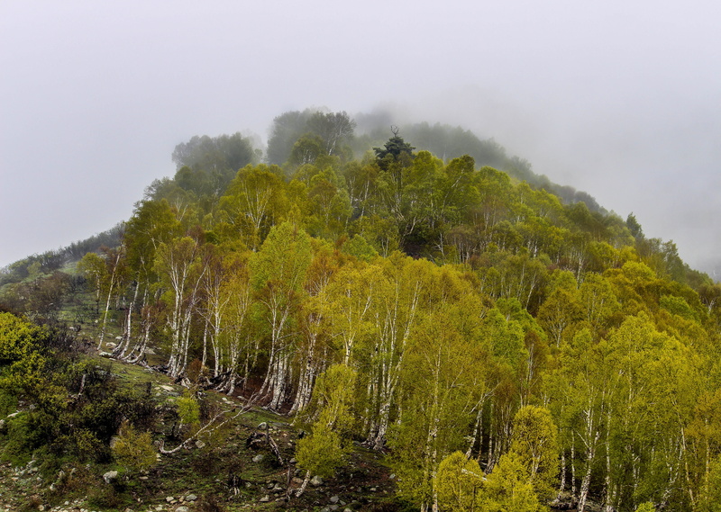 jammu, mountain, rock, journey, hill, tranquility, environment, non-urban scene, outdoor, travel, kashmir, fog, scenics - nature, green color, no people