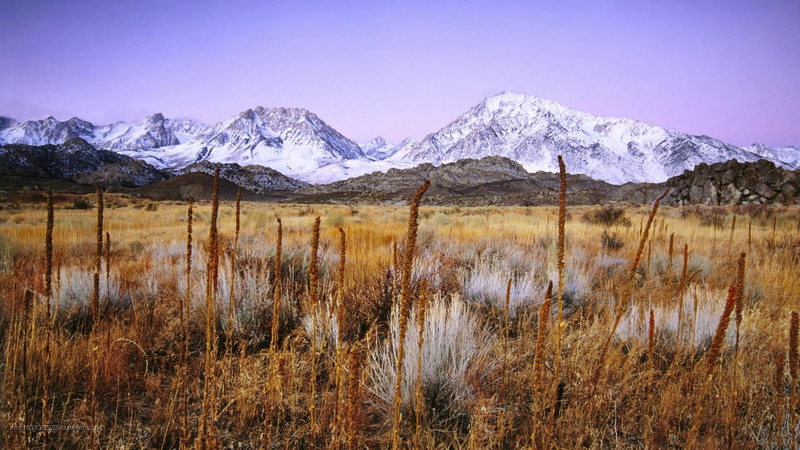 california, bishop, reeds, snow, mountain, nature and landscapes, plains, mountians, 1080P