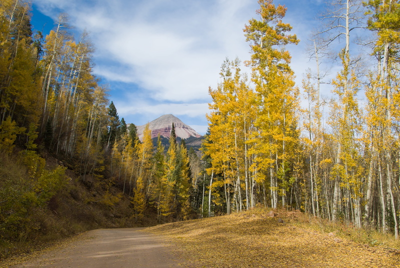 the way forward, plant, sky, fall, coniferous tree, season, engineer mountain, road, framed, beauty in nature, forest, san juan mountain, dirt road, wander