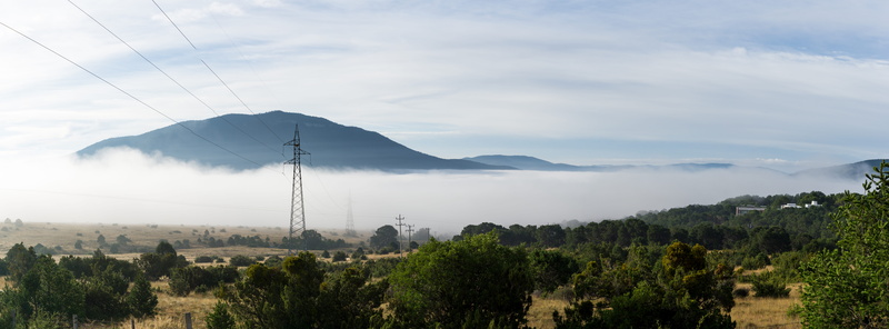 méxico, non-urban scene, neblina, coahuila, no people, bruma, san antonio de las alazanas, forest, coniferous tree, 8K, landscape, mountain, beauty in nature