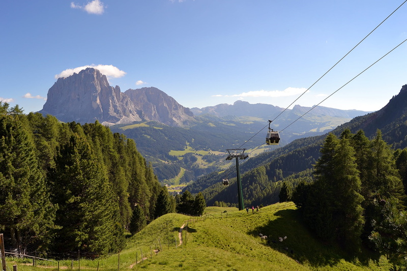 overhead cable car, trekking, transportation, tranquility, tranquil scene, plant, scenics - nature, coniferous tree, pine tree, no people, mountain, beauty in nature