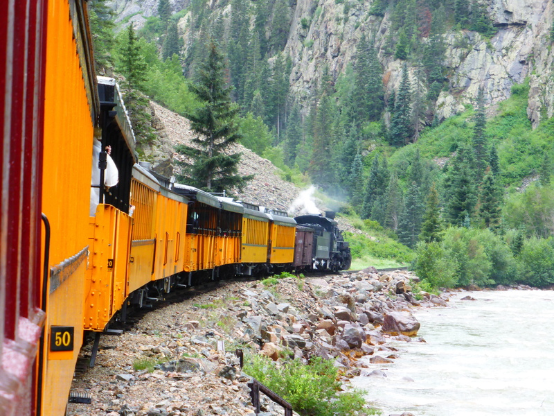 pine woodland, steam train, narrowgauge, non-urban scene, tree, railway, silverton, land vehicle, passenger train, outdoors, woodland, mountain, track