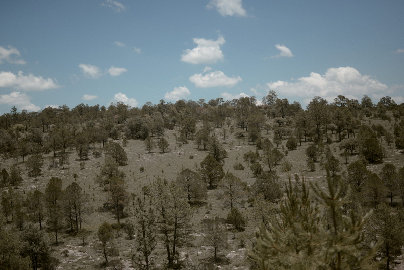 land, beauty in nature, plant, no people, rock formation, rock, roadtrip, cloud - sky, day, durango, ground, tranquil scene, nature, scenics - nature, sky