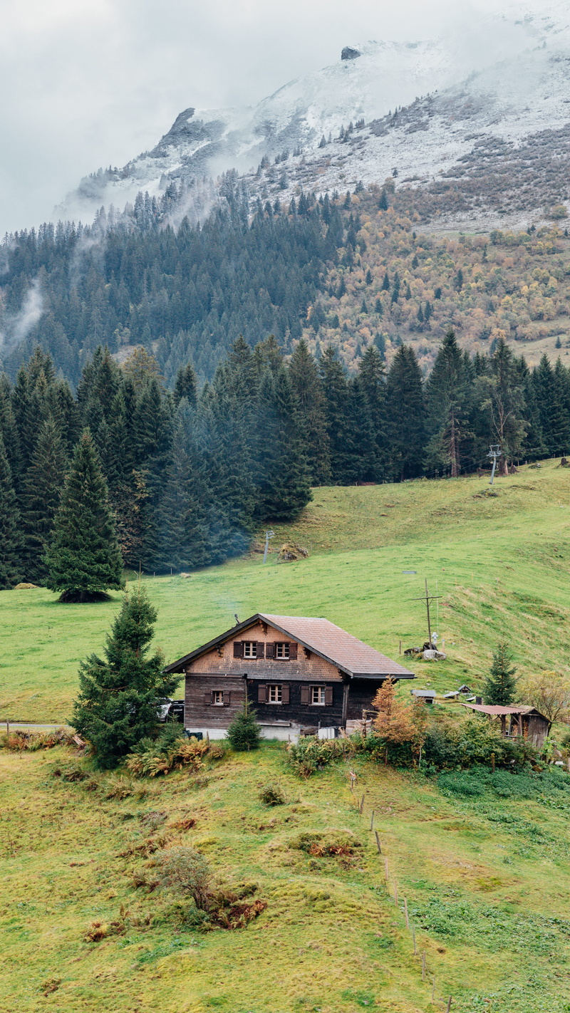 plant, sky, scenics - nature, grass, 5K, land, cloud - sky, environment, no people, titlis, day, mountain, tranquil scene, non-urban scene, beauty in nature