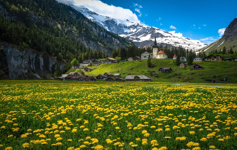 Alps, dandelions, The Canton Of URI, meadow, mountains, Valley Urnerboden, Canton of Uri, 5K, flowers, home, Switzerland, village, Urnerboden Valley, Urnerboden