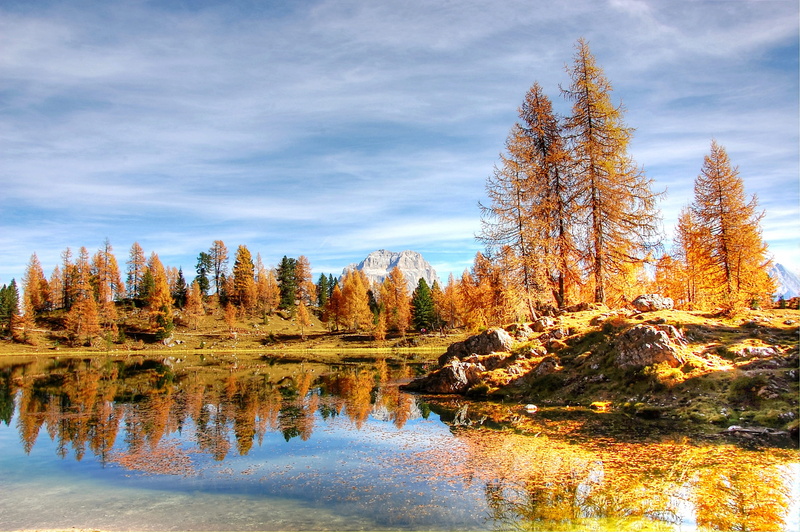 italy, unesco world heritage, lake, bergsee, croda da lago, tranquility, plant, clouds, rubble field, alpine panorama, idyllic, rock, growth, 2K, day