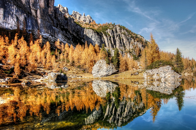 coniferous tree, no people, rock, hiking, tree, land, pine woodland, unesco world heritage, autumn, italy, plant, mountains, outdoors, tranquil scene, 2K