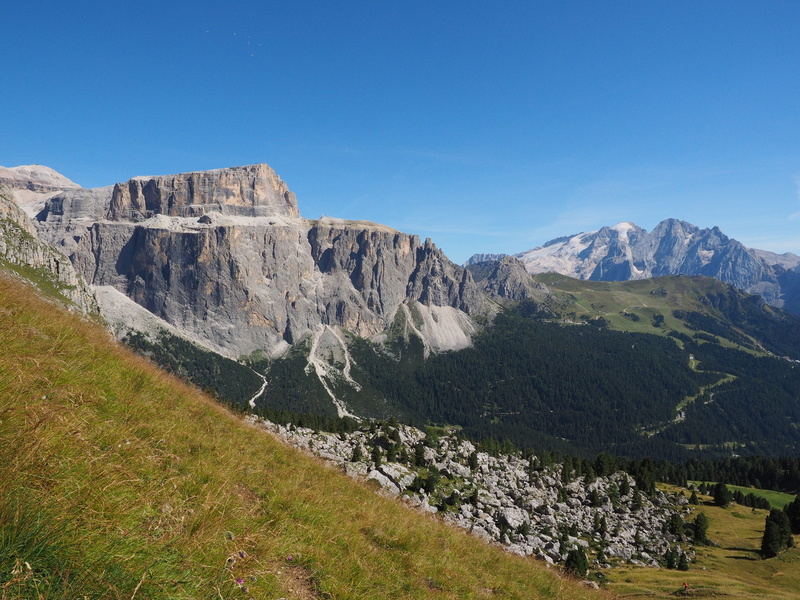 mountain summit, solid, mountain range, landscape, belvedere, plant, the ski area belvedere, non-urban scene, no people, pine tree, travel destinations