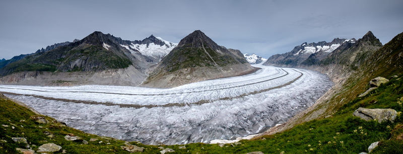 forest, pine woodland, aletsch, winter, environment, travel destinations, rocky, ice, glacier, sky, green, mountain, scenics - nature, beauty in nature