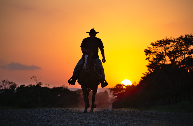 color, orange, sunny, dust, rear view, 5K, cowboy, marlboro cowboy, horse, clothing, country road, hat, full length, bright, marlboro man, sunset, spanish lookout
